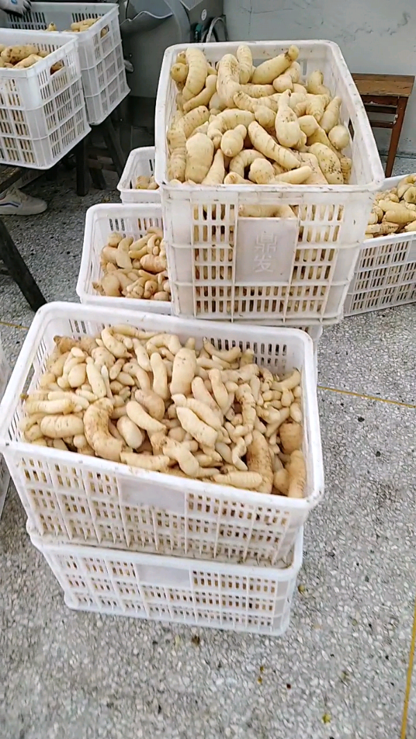 益陽瑪山產(chǎn)業(yè)機(jī)械有限公司，湖南益陽螺旋風(fēng)管廠家，熱風(fēng)食品烤房